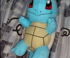 Pokemon Large