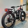 Electric Bike Image 10