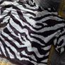 6-9m, River Island Baby Top Image 4
