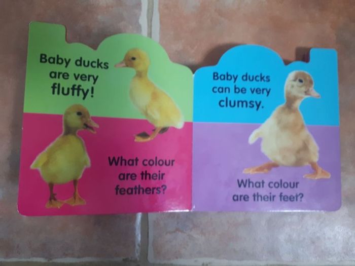Ducklings Book