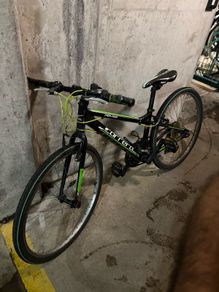 Carrera kid's mountain bike
