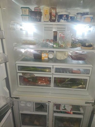 fridge and freezer