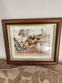 Beautiful Poltry Print Nicely Framed In Good Condition. See Photos For Same.