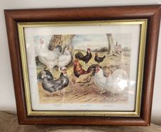 Beautiful Poltry Print Nicely Framed In Good Condition. See Photos For Same.
