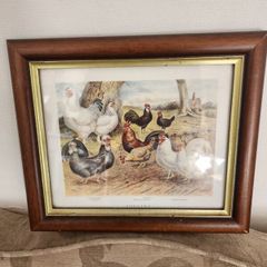 Beautiful Poltry Print Nicely Framed In Good Condition. See Photos For Same.