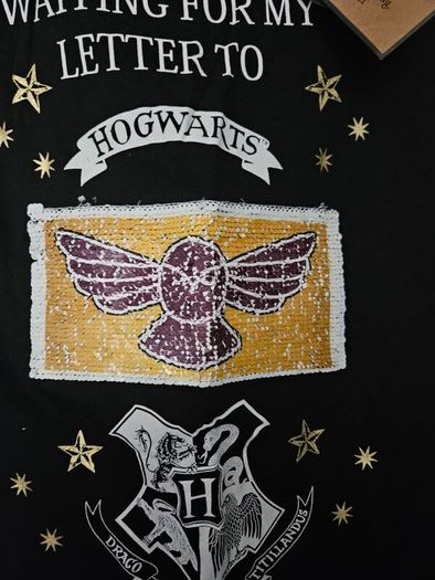 BNWT Harry Potter night shirt/dress