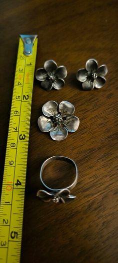 Silver set . Earrings, pendant, ring.