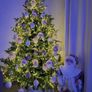 Christmas tree Image 3