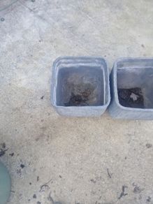 grey stone pots