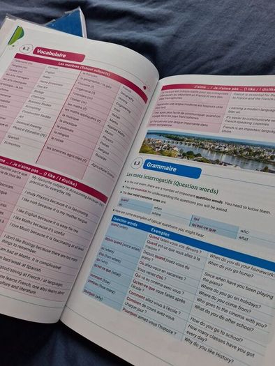 Leaving Cert French