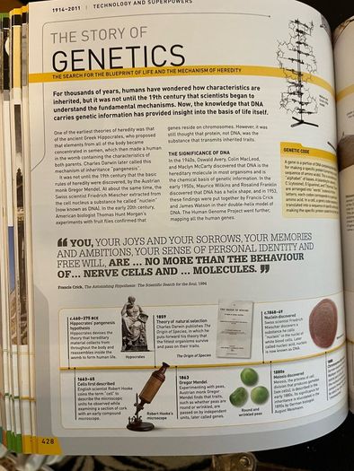 Brand New History Year by Year Book