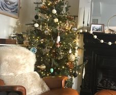 6.5 ft IKEA Christmas tree - decoration not included