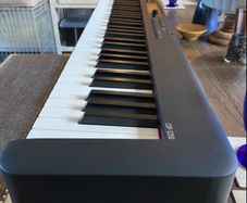 Casio CDP S350 Digital Piano
