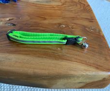 Reflective cat collar