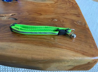 Reflective cat collar