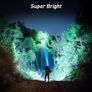 Head Torch Image 3