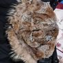 Parajumpers Long Bear Parka Image 7