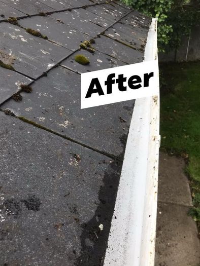 Exterior Cleaning