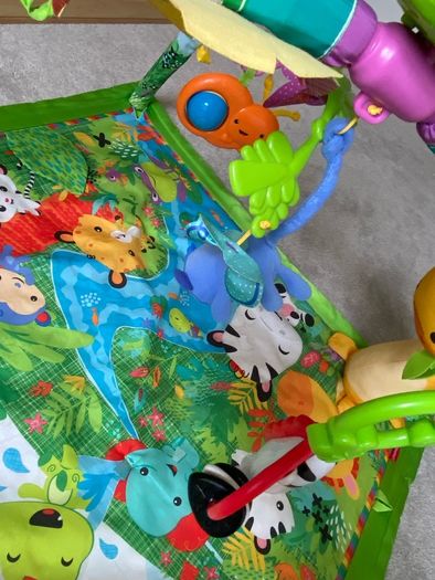 Fisher Price Rainforest Baby Gym