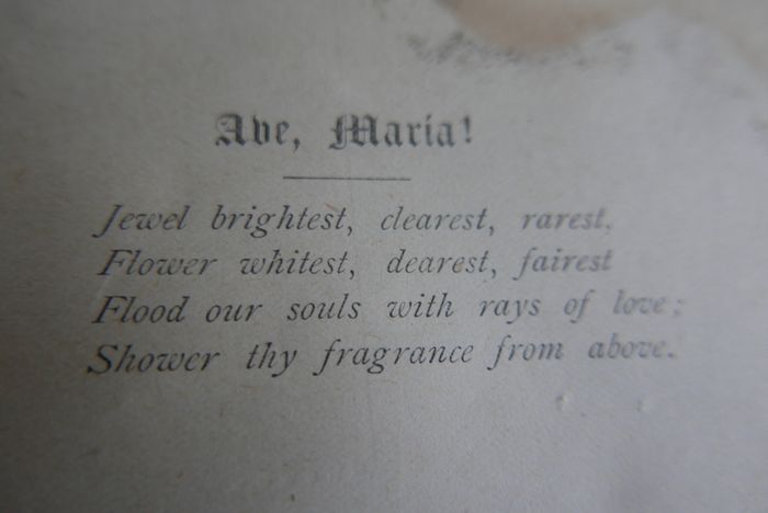 The Ave Maria A Magazine Devoted to the Honor of the Blessed Virgin 1894 and the Bible