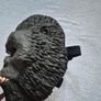 King Kong Image 2
