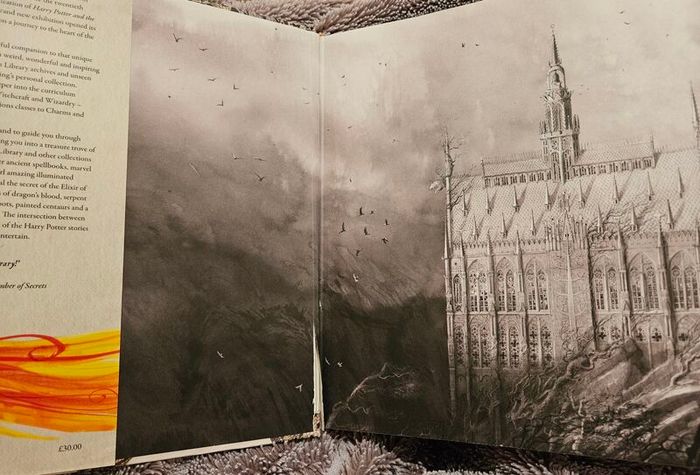 Harry Potter: A History of Magic