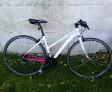 hybrid women's bike