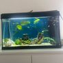 125 Litre Tank Setup Image 2