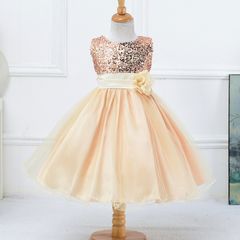 New Girls Flower Bridesmaid Party Princess Prom Wedding Christening Christmas Dress sz 2-3yrs