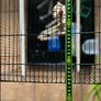 Large Bird Flight Cage Image 2