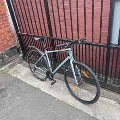 Giant rapid 3 hybrid