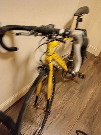 carrera bike