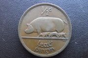 1949 Irish Half Penny