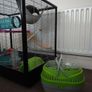 Large Rat Cage (perfect for rodents) and Small Animal Carrier. Image 4