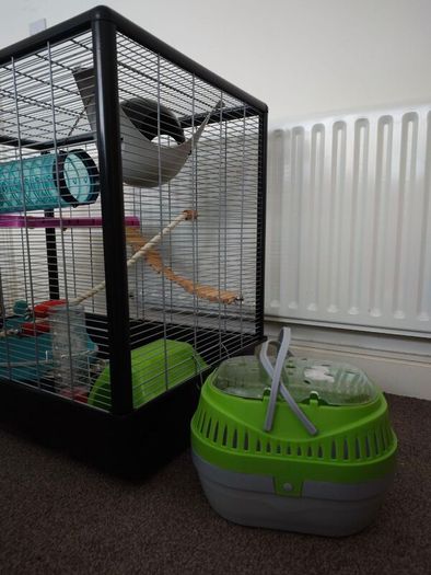 Large Rat Cage (perfect for rodents) and Small Animal Carrier.