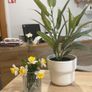 Collection of fake plants and pots Image 6