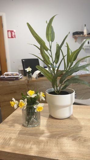 Collection of fake plants and pots
