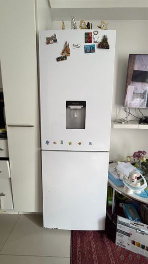 fridge and freezer