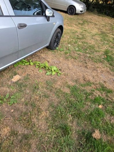 Fiat Punto 2007
