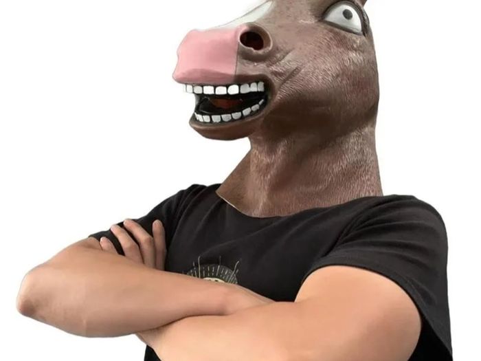 Rubber novelty Halloween brown Horse mask for child.