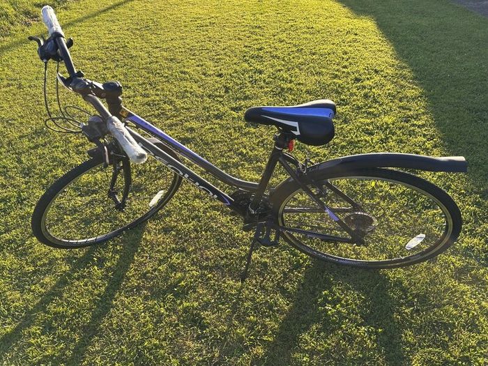 Bentini Medina 700c Ladies Bike-Brand New / Unused