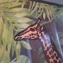 large framed canvas giraffe pictue Image 2