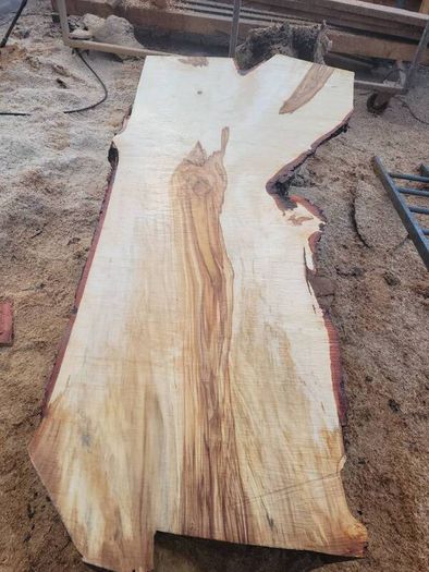 Hardwood timber