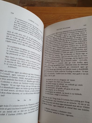 Fili An tSulain by Padraig O'Tuathaigh.