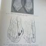Medical Book Image 5