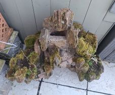 water fountain