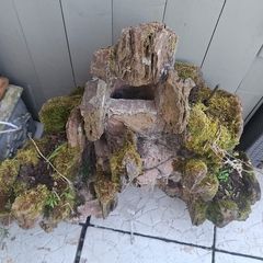 water fountain