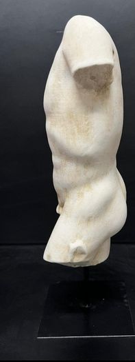 Sculpture  torso greco marble dust and scagliola