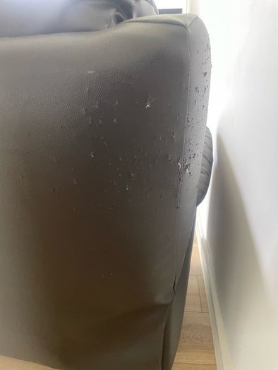 Free Couch