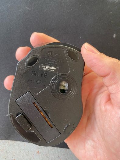 mouse